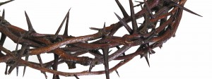 crown of thorns