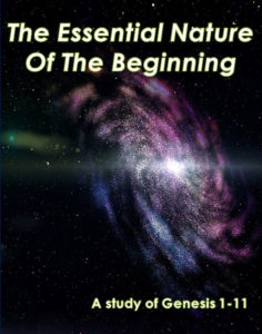 Genesis - Essential Nature Beginning