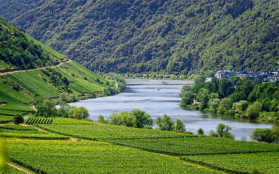 Going Home – What Will It Be Like?