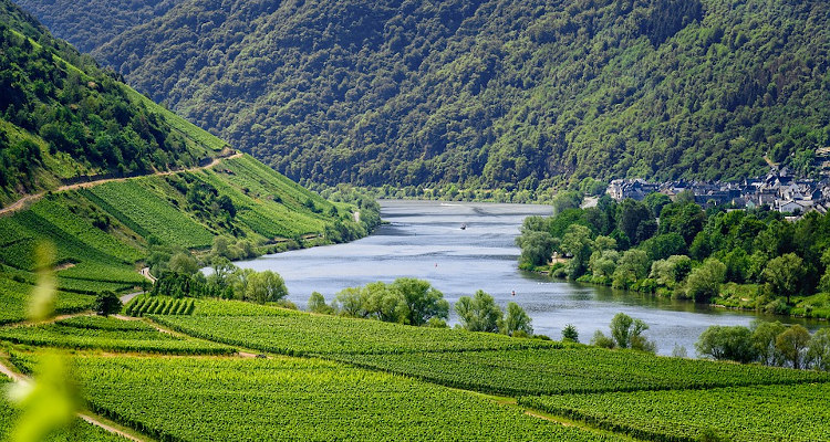 home scene rsz Home Scene