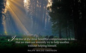 emerson quote forest