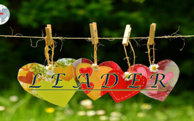 Leader Loves – What They Tell Us