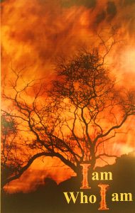 Who Am I?