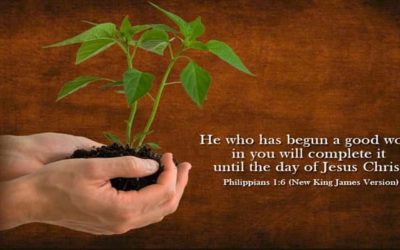 Unfailing Faithulness Builds a Better You