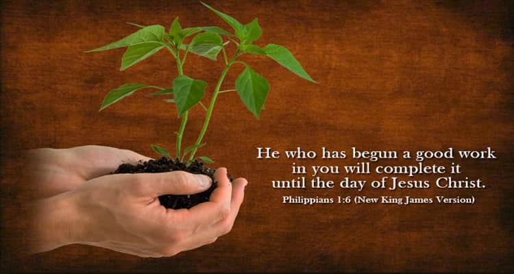 Unfailing Faithulness Builds a Better You