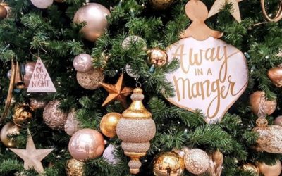 Christmas Manger: Trivial Pursuit – NOT What You Think!