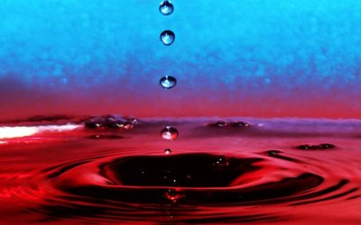 Transitions: Water, Wine And Work