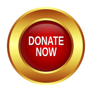 Donate Eyes On The Prize