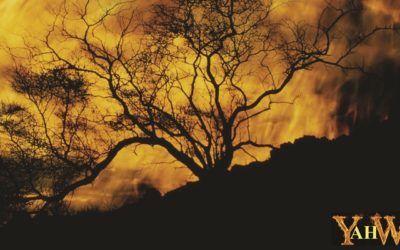 I AM: A God By Any Other Name