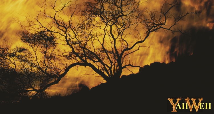 I AM: A God By Any Other Name