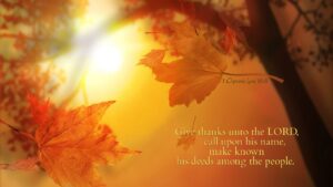 Thanksgiving - giver