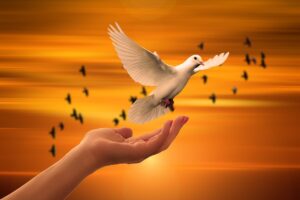 Dove of peace - Benedictions in the Bible